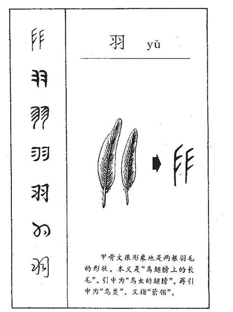 羽字旁